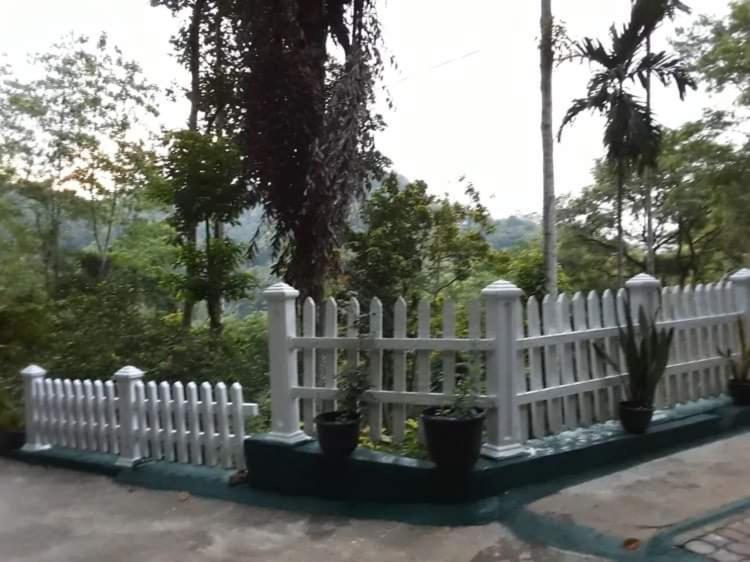 Villa25 Homestay Free Pick Up From The Centre Kandy Eksteriør bilde