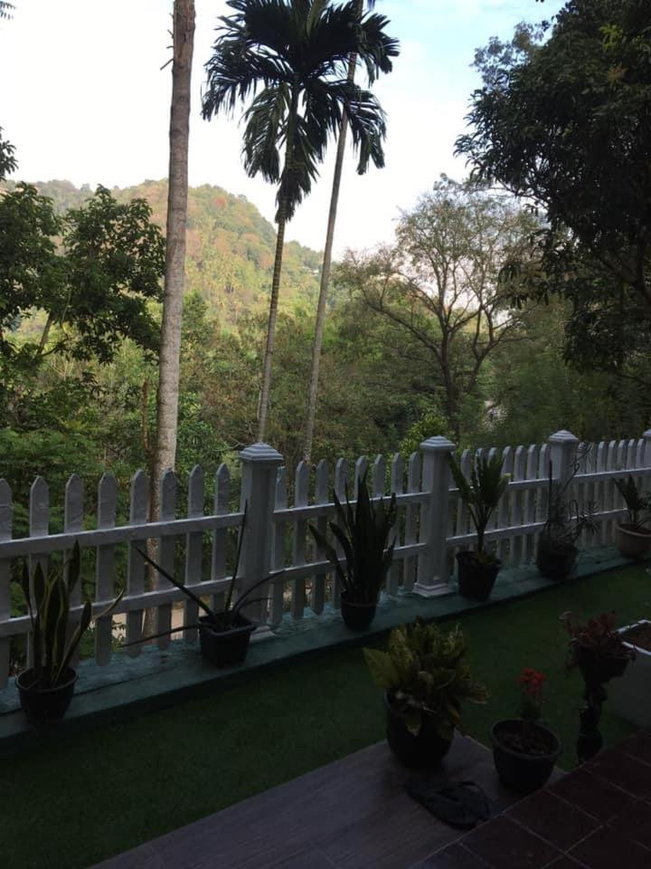 Villa25 Homestay Free Pick Up From The Centre Kandy Eksteriør bilde